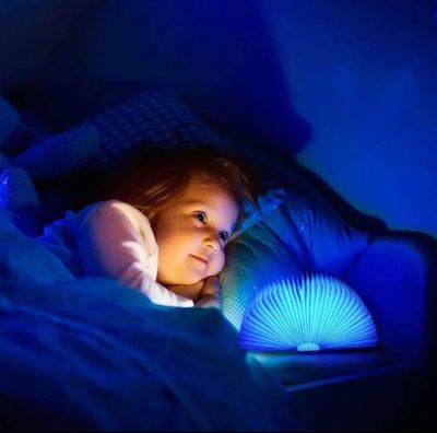 LED Book Lamp